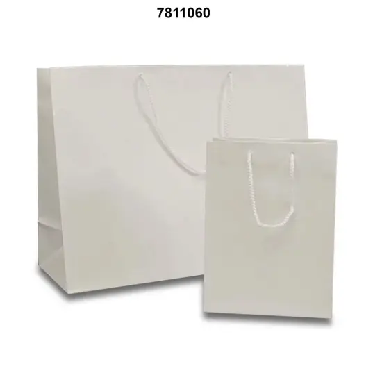 Compact and Glossy 9 3/4'' x 4 '' x 7 3/4'' Paper Euro Totes White {3}