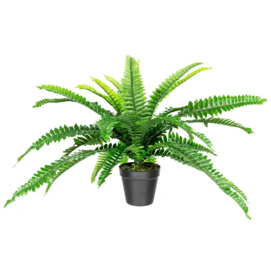 Northlight Potted Artificial Tall Green Boston Fern Plant - 17.5" {3}