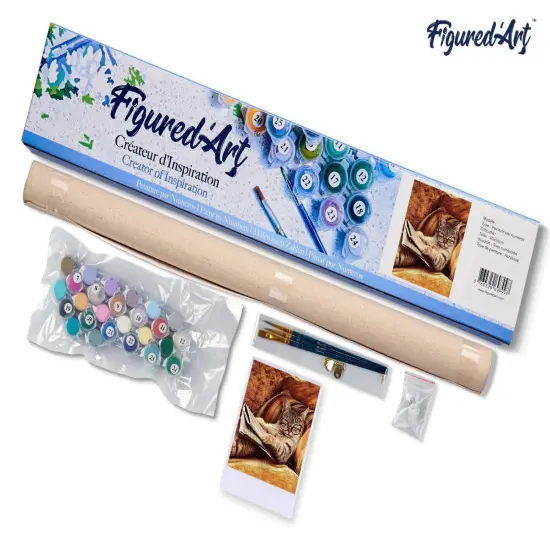 Figured'Art Paint by Numbers for Adults Don't mess with This Cat 16"x20" - Craft Art Painting DIY Kit Rolled Canvas without frame {5}