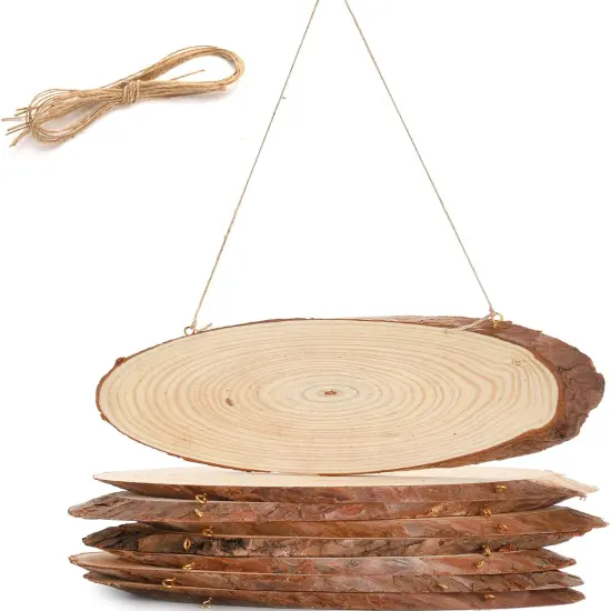 8 Pack Unfinished Wood Crafts {3}