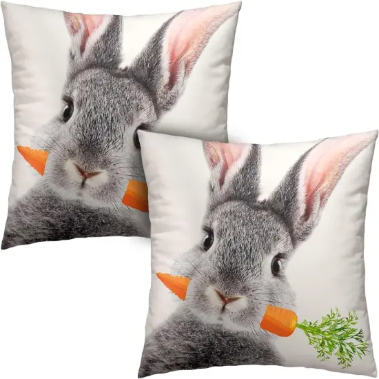 Cute Rabbit Pillow Covers 18x18 Set of 2 Lovely Bunny Eating Carrots Pillow Covers Easter Throw Pillows {1}