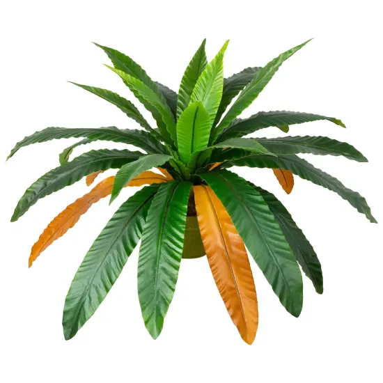 Northlight Two-Tone Bird Nest Fern Artificial Potted Plant - 22" - Green and Brown {4}