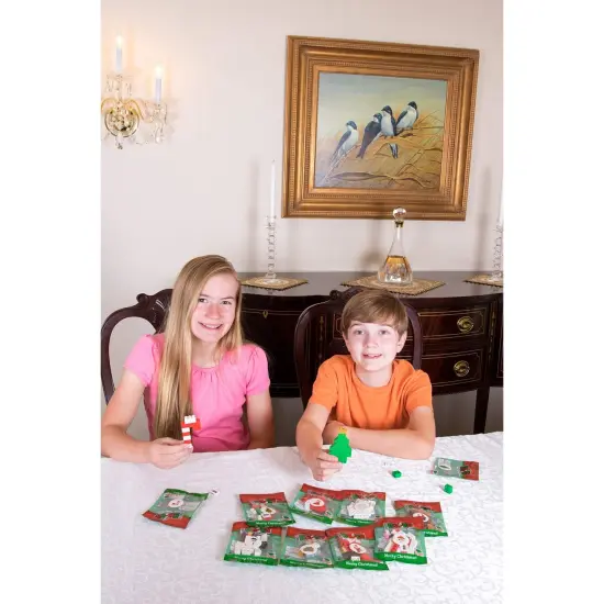 Strictly Briks Building Bricks and Blocks Set, 3D Christmas Themed Bricks, 10 Pack, 100% Compatible with All Major Brick Brands, For Kids Ages 4+ {6}