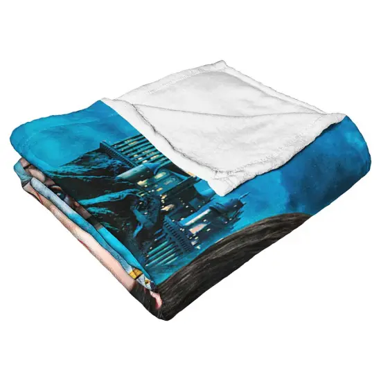Warner Brothers Harry Potter Philosopher&rsquo;s Stone Silk Touch Throw Blanket Hagrid {9}