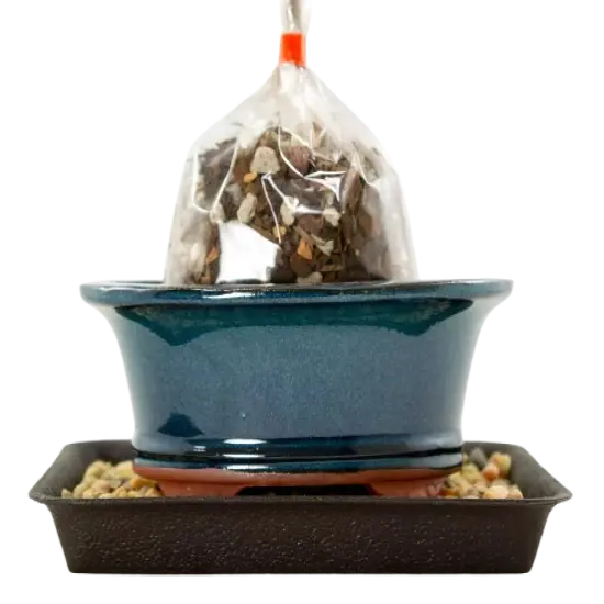 6.25" Oval Green Stain Bonsai / Succulent Pot + Soil + Tray + Rock + Mesh Kit {1}