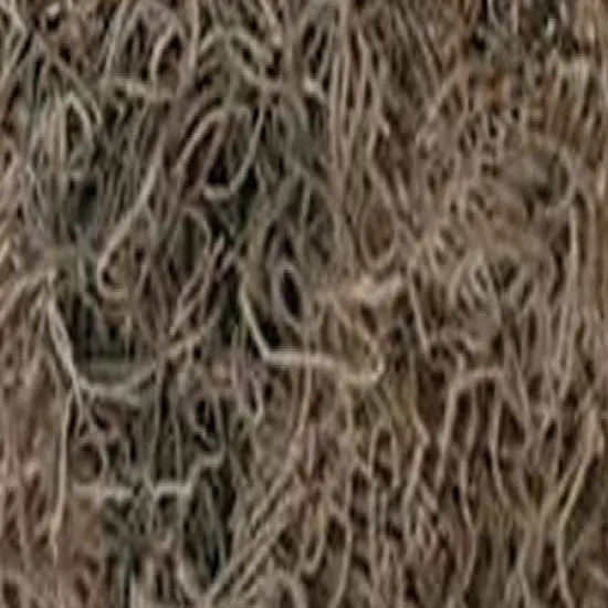 Quality Growers Preserved Spanish Moss 108.5 Cubic Inches-Natural {2}