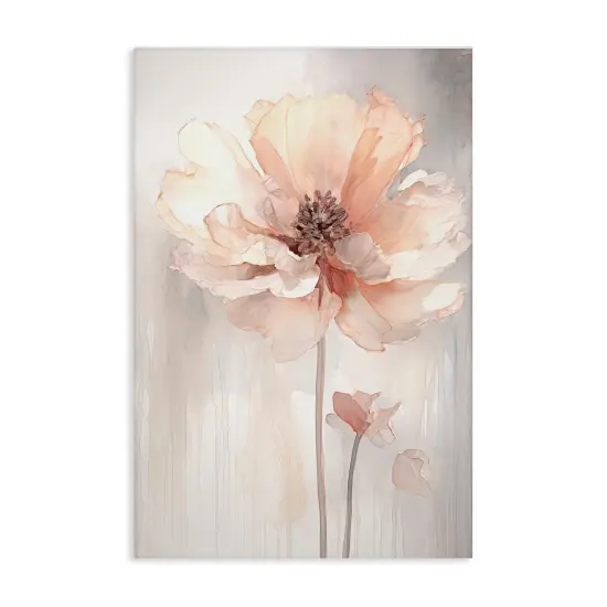 Stupell Industries Pastel Blush Flower Canvas Wall Art Design by Raymond Powers {1}