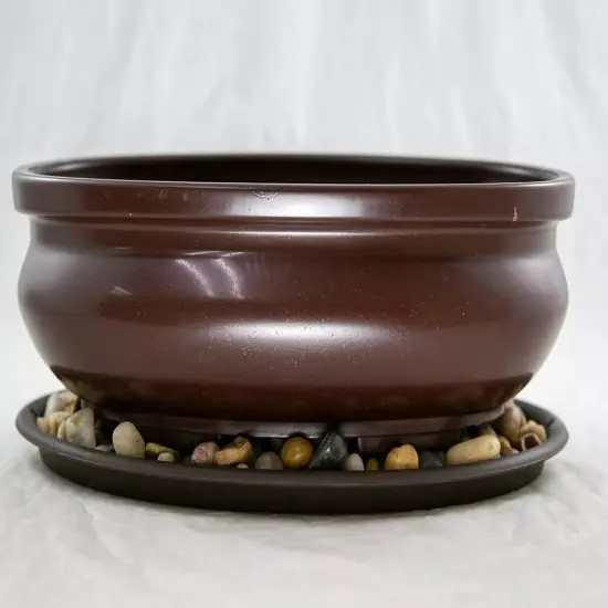 9" Oval Heavy Duty Plastic Bonsai / Succulent Pot + Tray + Rock + Mesh Combo {5}