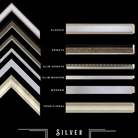 Silver 12x17 Picture Frame Modern Ornate Traditional Antique {5}