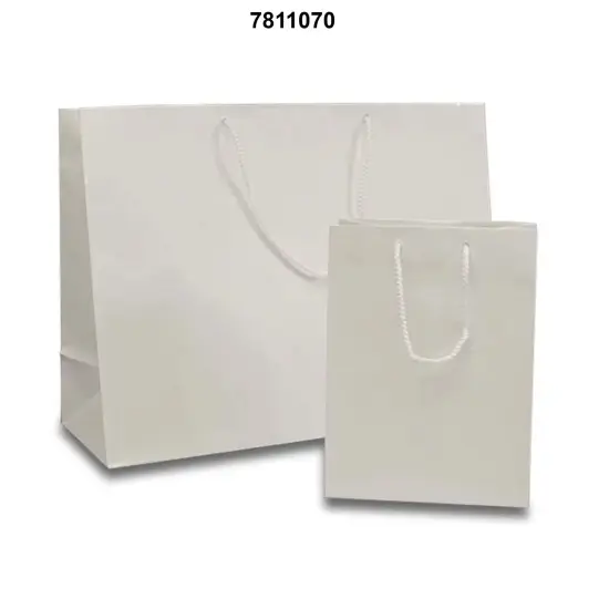 16'' x 6'' x 12'' Glossy Paper Euro Totes Small Size Big Style White {3}