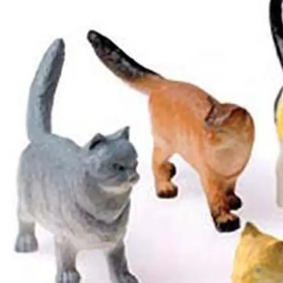 Cats 4 Inch Include 12 Units {4}