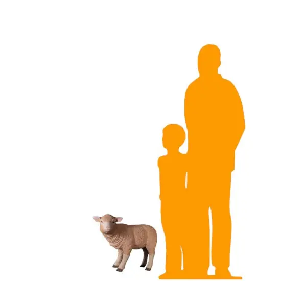 Merino Baby Lamb Life Size Statue {2}