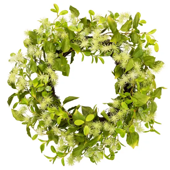 Northlight Jujube Floral and Foliage Artificial Springtime Wreath - 18" Green {3}