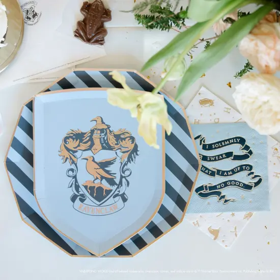 HARRY POTTER X BONJOUR FETE HOUSE PRIDE LARGE PARTY NAPKINS {4}