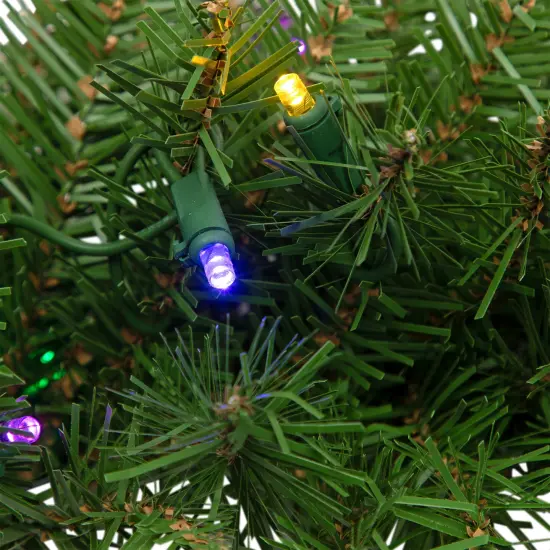 Northlight Pre-Lit Northern Pine Artificial Christmas Wreath - 24" - Multicolor LED Lights Green {5}