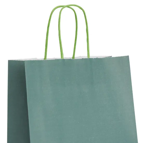 25-Pack Dark Green Gift Bags with Handles, 8x4x10-Inch Paper Goodie Bags for Party Favors and Treats, Birthday Party Supplies {5}