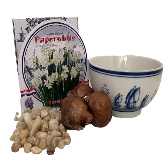 Delft Ceramic Bowl with Paperwhite Narcissus Bulbs Indoor Growing Kit - Fragrant {6}