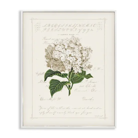 Stupell Industries Vintage Floral Motif Framed Giclee By Jennifer Pugh {1}