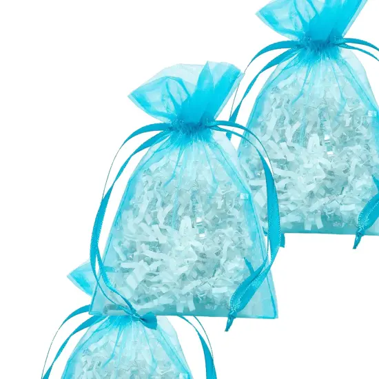 Sheer 4&rdquo; x 6&rdquo; Organza Bags Versatile for Favors {5}
