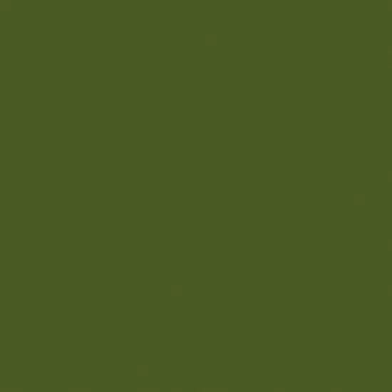 My Colors Classic 80lb Cover Weight Cardstock 12"X12"-Holiday Green {1}