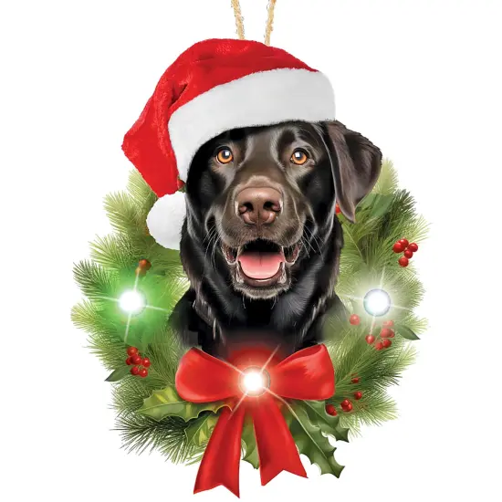 Collections Etc Lighted Dog Ornament {2}