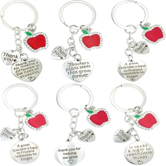 4E's Novelty Thank You Teachers Appreciation Keychains - 6 Pack Thank You Gifts for Teacher 2024 Teachers Appreciation Gifts in Bulk for Women Staff {1}