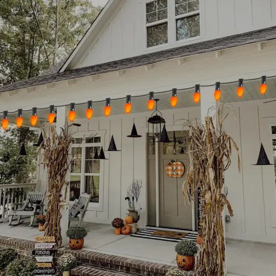 25 Pack C7 Christmas Replacement Bulbs {2}