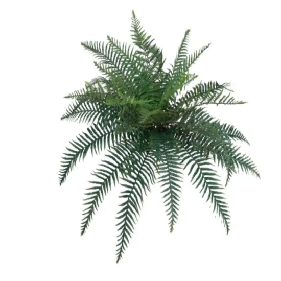 2pc River Mixed Fern Plant w/ 30 Silk Fronds - 38" Wide {1}