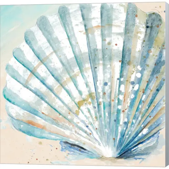 Awashed Shell Square by Patricia Pinto 12" x 12" Canvas Wall Art {1}