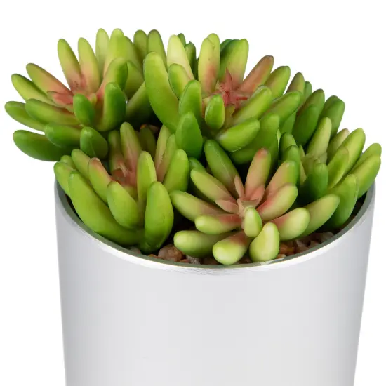 Northlight 4.75" Potted Red and Green Artificial Sedum Succulent {7}