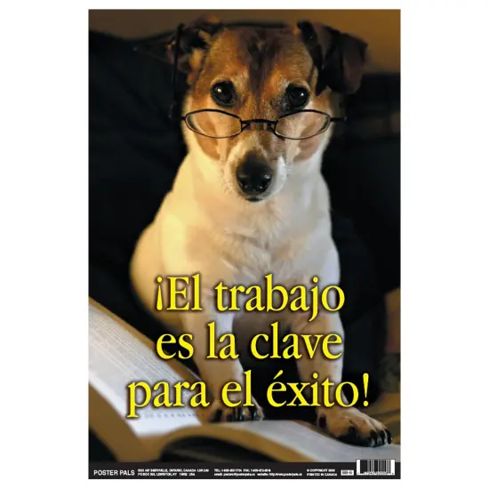 Poster Pals Spanish Educational and Language Teaching Fun Photo Posters,Bilingual Charts, Classroom Decorations, 4 Poster Set {3}