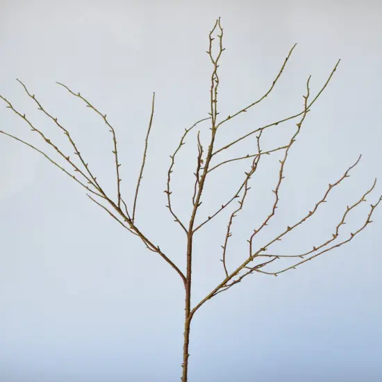 40" Faux Light Brown Twig Branch Stem {6}