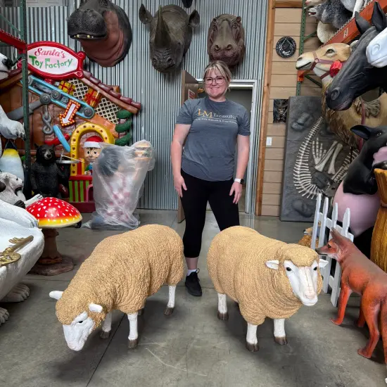 Merino Ewe Sheep Head Down Life Size Statue {3}