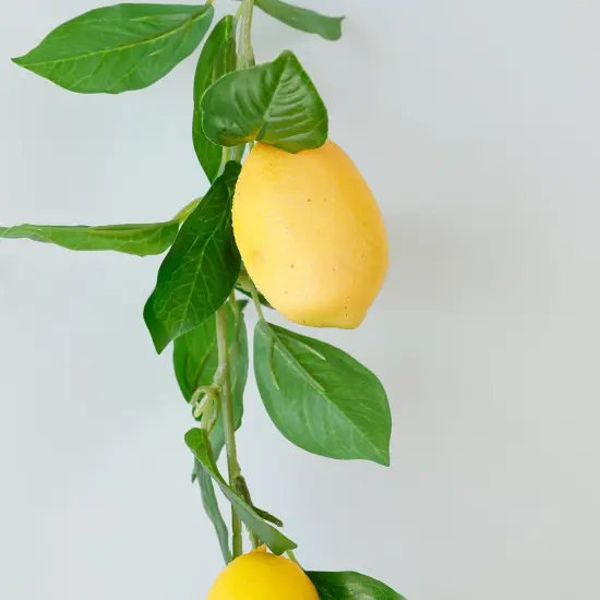 3 Strands Lemon Artificial Vines, 71" Lemon Silk Vine Garland with Green Leaves, Fake Hanging Plants Greenery Decor for Home, Bedroom, Wall, Party, Wedding Decoration {4}