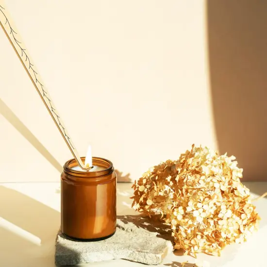 calary Candle Wick Trimmer, Candle Snuffer and Wick Dipper & Candle Accessory Set, 3 in 1 Candle Care Kit for Candle Lover (Gold) {6}