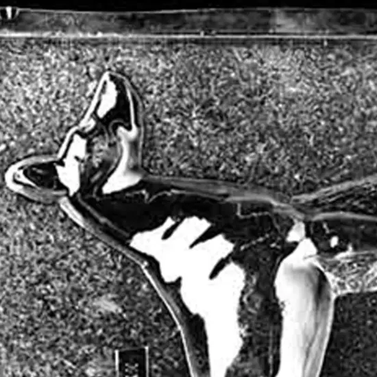 Jumbo Doberman Chocolate Mold {4}