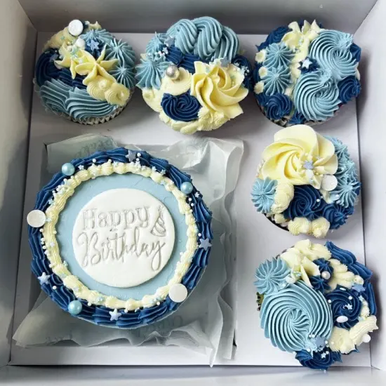 Bento Cake and Cupcake Box - 5 pack {1}