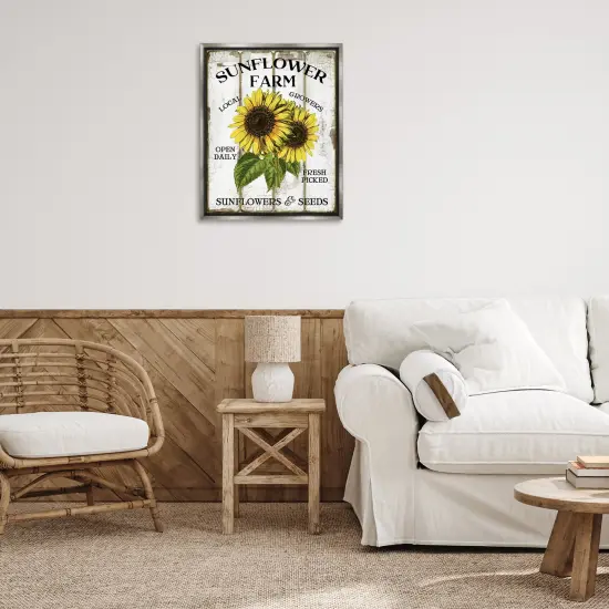Stupell Industries Antique Sunflower Farm Seeds Floater Framed Canvas Wall Art Design by Creatif Belle {2}