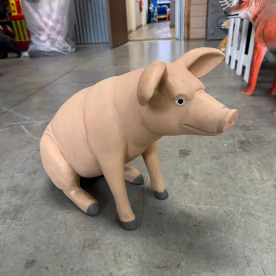 Baby Pig Sitting Life Size Statue {4}