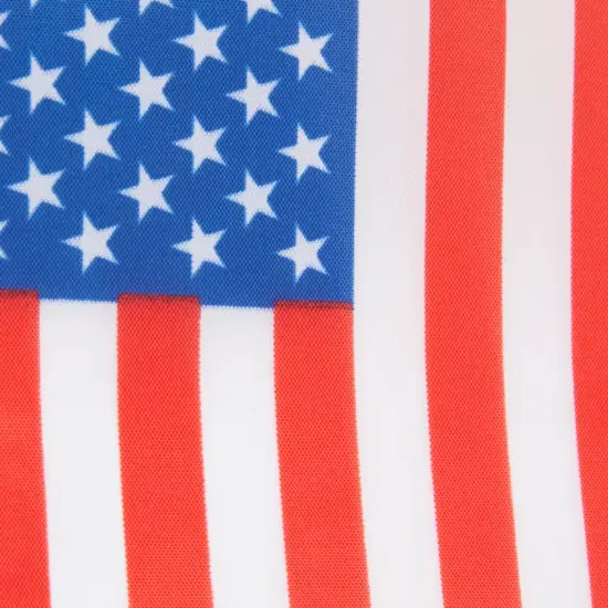 Juvale 24 Pack USA American Flag Lapel Pins, Patriotic US Flag Pins for July 4th, National Day, Celebrations & Decorations (0.7 x 0.38 x 0.6 Inches) Red {5}