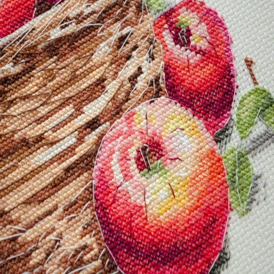 Counted Cross-stitch kit - Bulk apples {2}