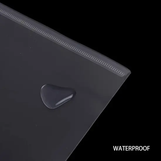 Plastic Envelopes with Button Snap Closure {2}