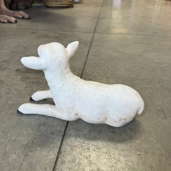 Baby Goat Laying Life Size Statue {6}
