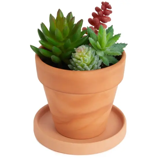 Okuna Outpost 12 Pack Small Terra cotta Plant Saucer for Flowers, Plant Trays for Pots with Drainage, Round Clay Plates for Indoor, Outdoor Plants, Prevents Excess Moisture and Spills (4.5 Inches) Orange {5}