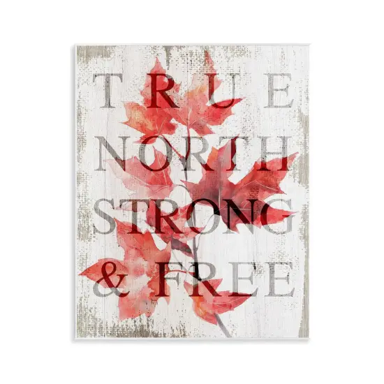 Stupell Industries True North Strong & Free Wall Plaque, design by Lil' Rue {1}