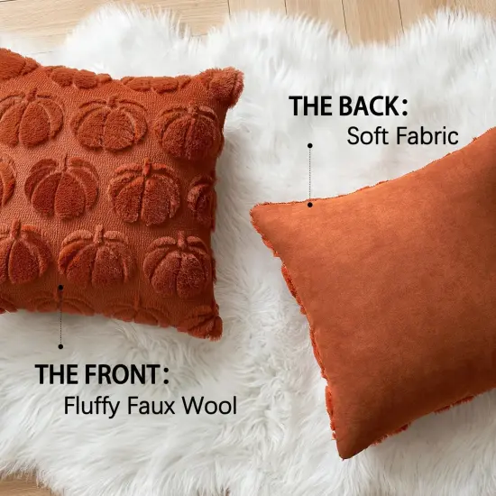 Autumn Decorations Rust Pumpkin Accent Pillowcase {6}