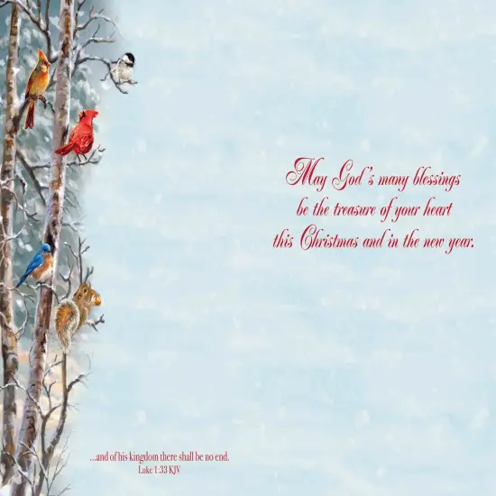 Boxed Christmas Cards - Winter Birds {6}