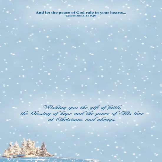 Boxed Christmas Cards-Beauty of the Season {6}