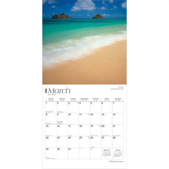 Hawaii Wild & Scenic | 2026 12 x 24 Inch (Hanging) Monthly Square Wall Calendar | Foil Stamped Cover | Plastic-Free {3}