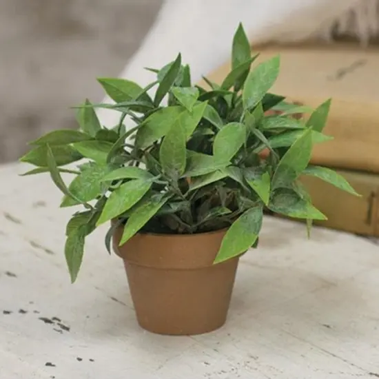 Gatehouse Herb Pot 6" {1}